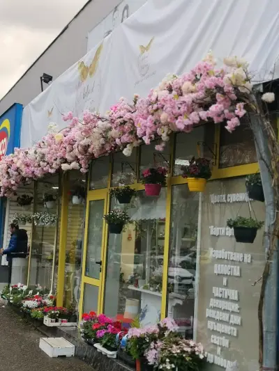 Angel wings flower shop and party agen/Ангелски крила цветарски магазин и парти агенция