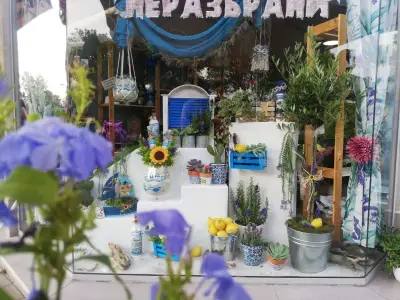 Цветарски магазин "Врани Неразбрани" 1