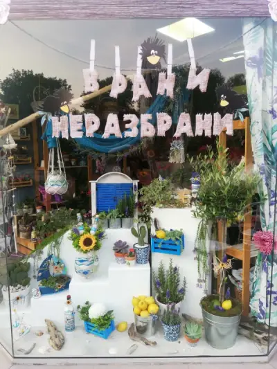 Цветарски магазин "Врани Неразбрани" 1