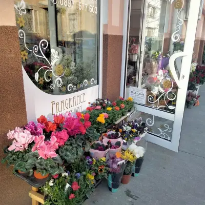Магазин за цветя FRAGRANCE