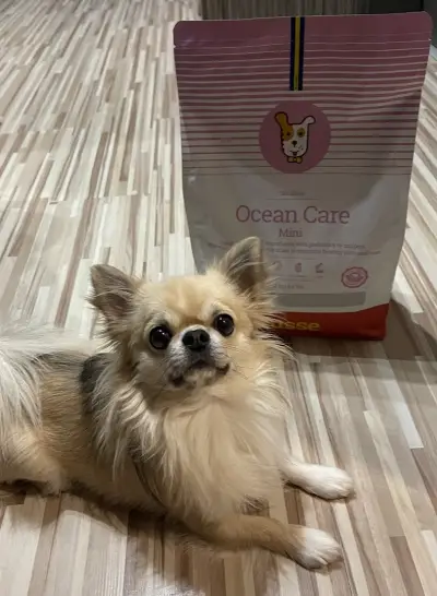 Husse България