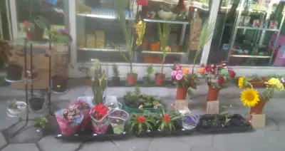 Цветарски магазин ДЕСИ