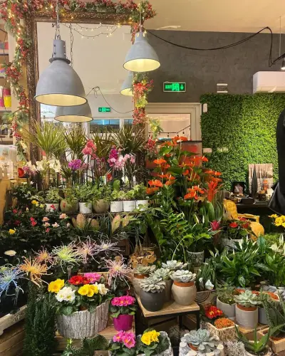 Магазин за цветя Видин FlorAmour