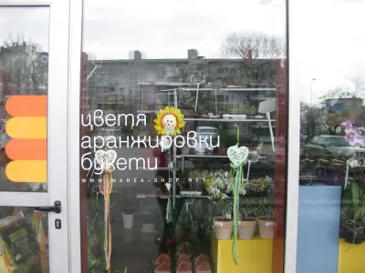 МАГАЗИН МАРЕА - МИКС ММ