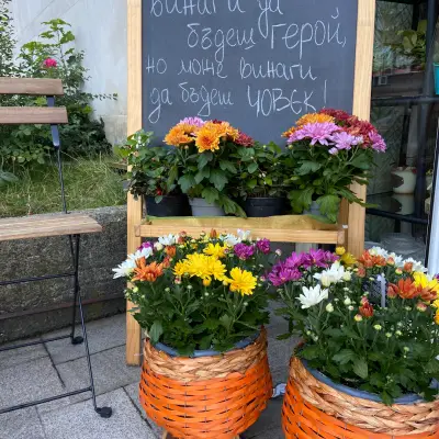 Градински център Ставрос Озеленяване поливни системи / Туя
