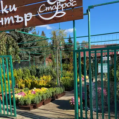 Градински център Ставрос Озеленяване поливни системи / Туя