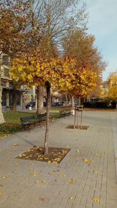 Пазар за цветя