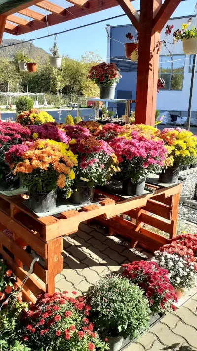 Градински център Габрово Easy Garden