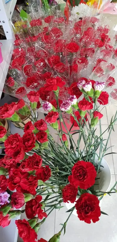 МАГАЗИН ЗА ЦВЕТЯ И АКСЕСОАРИ.....