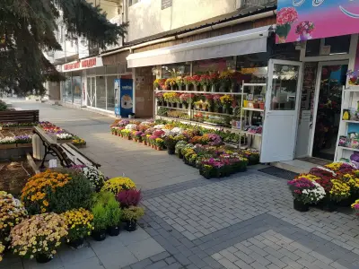 Магазин за цветя Сияние | Флорист | Бутик за цветя | Букети за всякакъв повод
