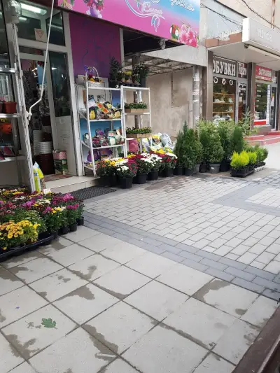 Магазин за цветя Сияние | Флорист | Бутик за цветя | Букети за всякакъв повод