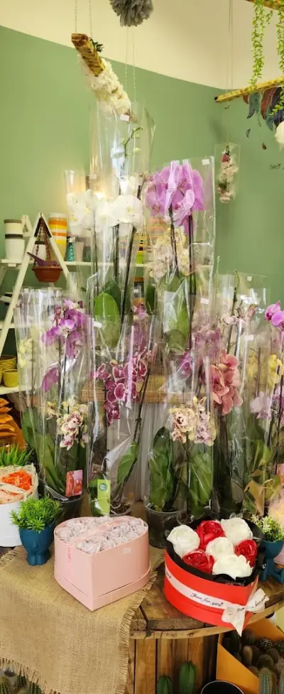 Цветарски магазин Vailet's flowers