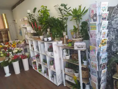 Fantasia Flower Shop Sunny Beach-Доставка