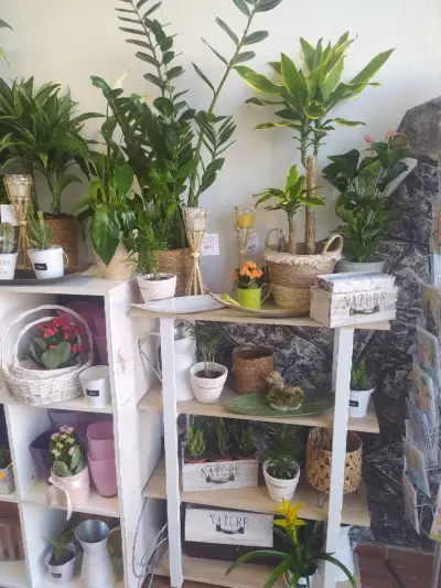 Fantasia Flower Shop Sunny Beach-Доставка