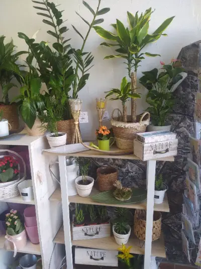 Fantasia Flower Shop Sunny Beach-Доставка