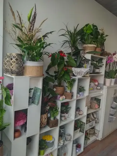 Fantasia Flower Shop Sunny Beach-Доставка