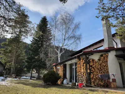 Villa Beli Iskar