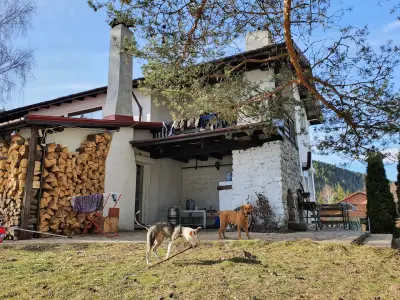 Villa Beli Iskar