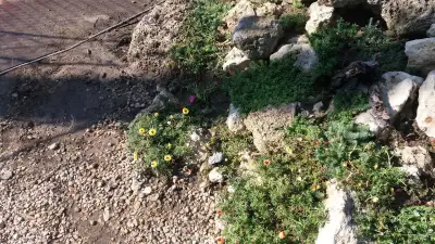 Градински център Евксиноград - Озеленяване Варна