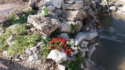 Градински център Евксиноград - Озеленяване Варна