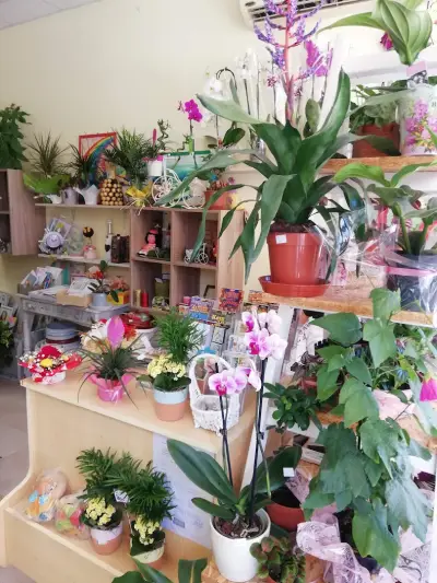 Esela flowers