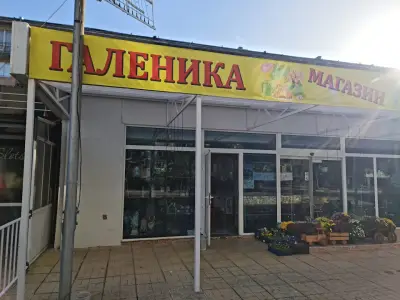 Магазин за цветя и подаръци "ГАЛЕНИКА"