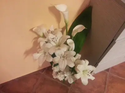 Магазин за цветя Жожоба