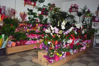 Цветя Свети Влас