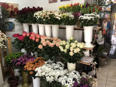 Цветя-Цветы -Магазин за цветя Свети Влас-Fantasia-Flower And Gift Shop