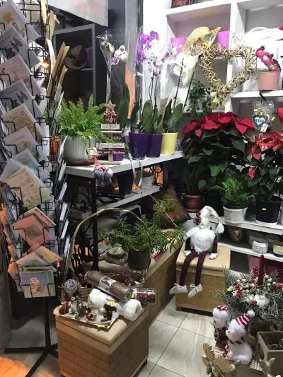 Цветя-Цветы -Магазин за цветя Свети Влас-Fantasia-Flower And Gift Shop
