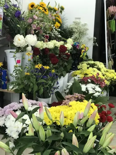 Цветя-Цветы -Магазин за цветя Свети Влас-Fantasia-Flower And Gift Shop