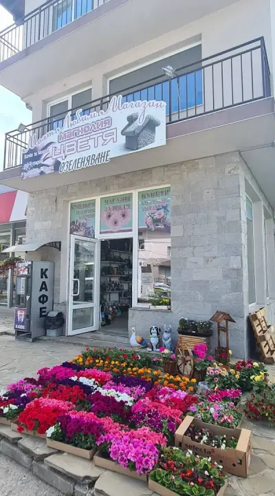 Цветарски Магазин Магнолия