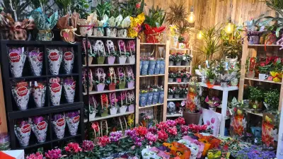 Цветарски Магазин Магнолия