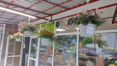 Магазин за цветя и ръчноизработени декорации Kenga handmade and flowers
