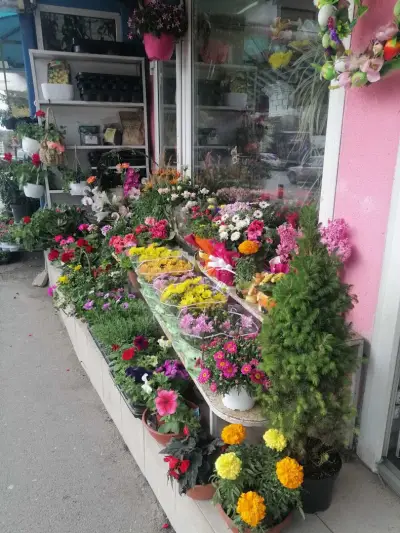 Магазин за цветя и подаръци "Калина Гардън"