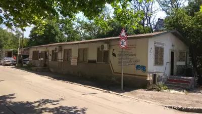 ЦИКОНИЯ ЕООД