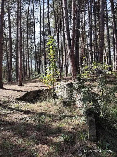 Къща за Гости Горанови