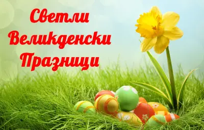Мегара 1 ЕООД
