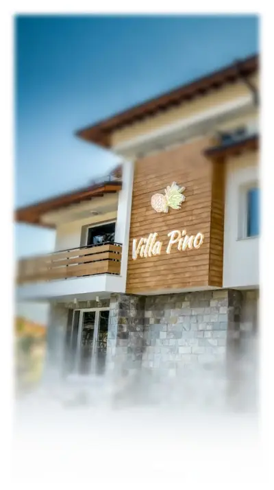 Villa Pino