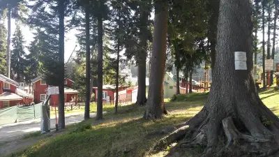 Hotel Forest Star on the Ski Slope