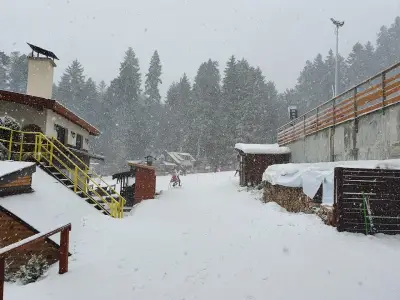 Hotel Forest Star on the Ski Slope