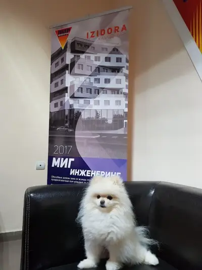 МИГ ИНЖЕНЕРИНГ
