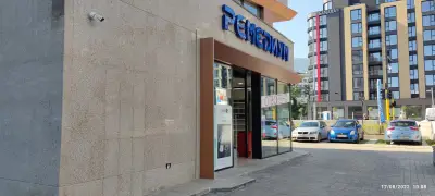Ремедиум 13
