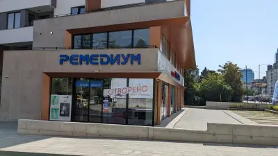 Ремедиум 13
