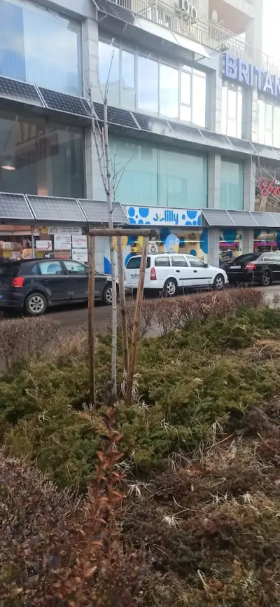 Лили Дрогерие ЕООД Мотописта