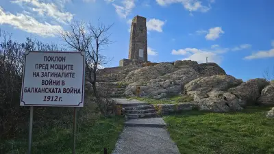 Връх Шейновец