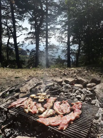 Safari Adventure Velingrad