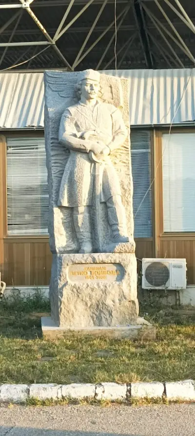ГКПП Капитан Петко Войвода