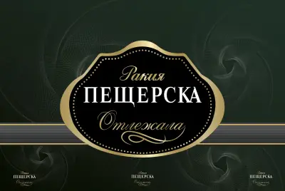 АС-МЕГА-А.Д.-М.А.-ГЕРГАНА АНДОНОВА
