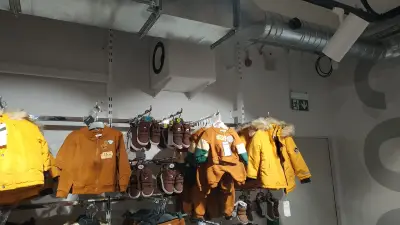 Синсей